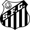 https://img.eurofeeders.com/img/football/team/674171a5ca8e8fd3a9784bec35afb185.png